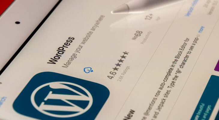 WordPress Security:  Step by Step Guide
